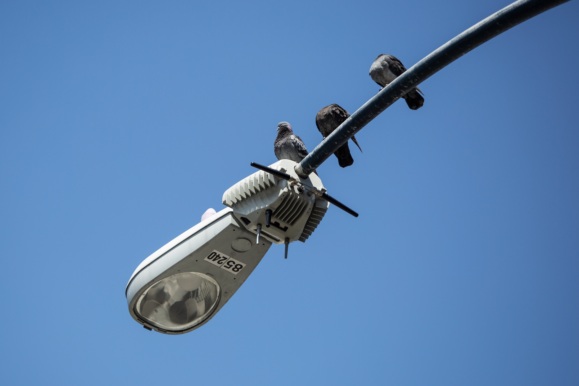 Ubicquia Smart Streetlight image 3